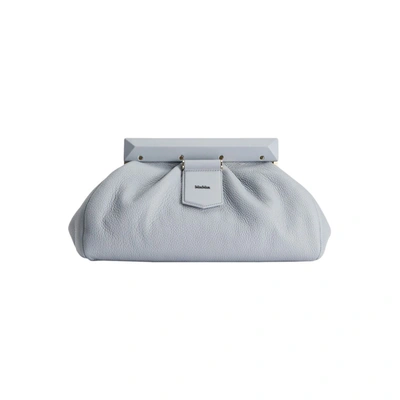 Max Mara Maxmara Accessori - Deerskin Clutch Bag In Gray | ModeSens