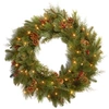 National Tree Company National Tree 24" Decorative Collection Chrisas Red Mixed Wreaths With 50 Soft White Battery Operate In Green