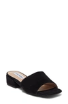 Steve Madden Amir Slide Sandal In Black Suede