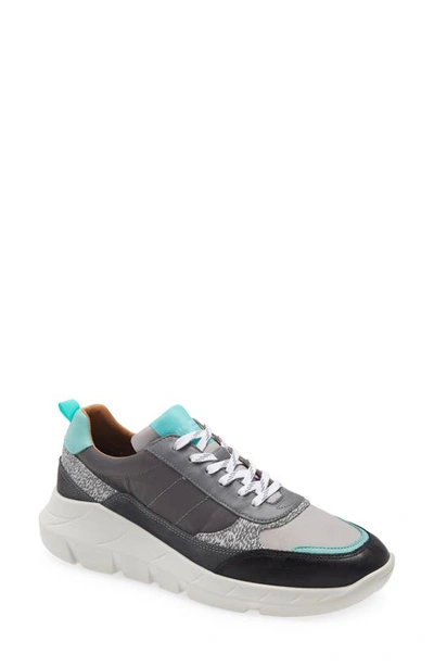 Ted Baker Enriul Sneaker In Grey