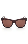 Max Mara 55mm Geometric Sunglasses In Dark Havana