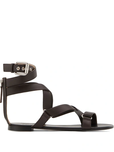 Giuseppe Zanotti Lyda Flat Sandals In Braun