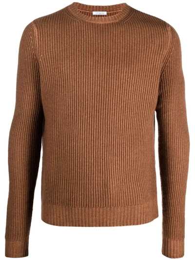 Malo Roundneck Uxa168f1b81 E3121 Brown - Atterley