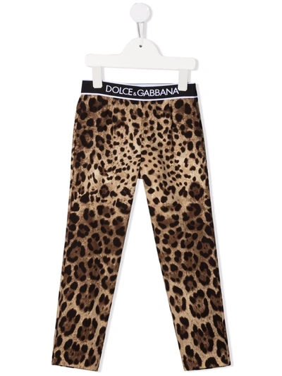 Dolce & Gabbana Kids' Logo-waistband Leopard-print Leggings In Lghbrowprt
