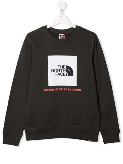 The North Face Teen Long-sleeved Logo Sweatshirt In Grey