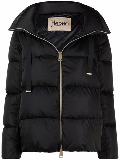Herno Padded Jacket In Black