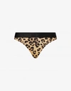 MOSCHINO ALL-OVER TEDDY LEO STRETCH THONG