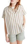 Madewell Striped Raglan Short Sleeve Shirt In Double Stripe Bronzed Lichen