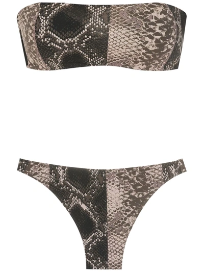 Amir Slama Snakeskin-print Bikini In Schwarz