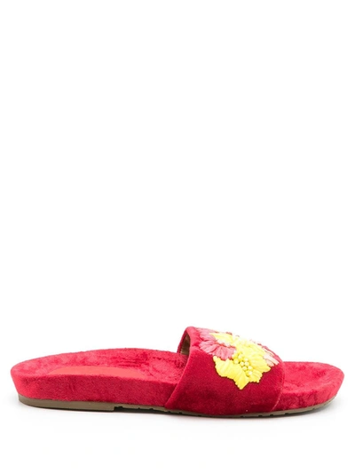 Amir Slama Embroidered Slides In Rot