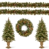 National Tree Company Frosted Berry Assortment- 2x 4' Entrance Trees With Clear Lights + 24" Wreath With Warm White Batter In Green