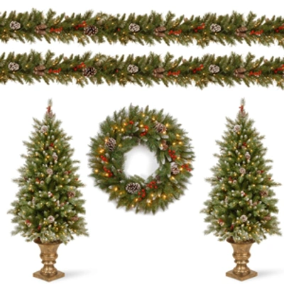 National Tree Company Frosted Berry Assortment- 2x 4' Entrance Trees With Clear Lights + 24" Wreath With Warm White Batter In Green