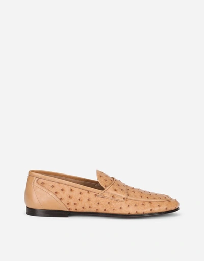 Dolce & Gabbana Ostrich Skin Slippers In Beige