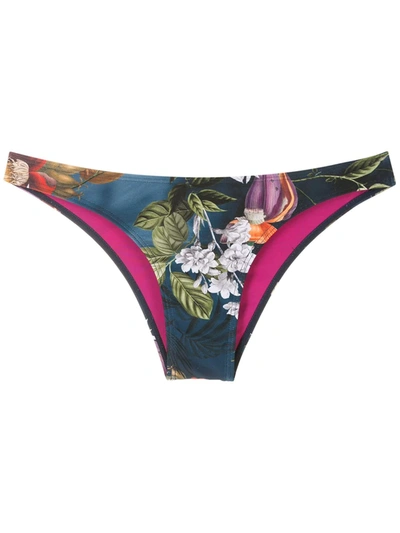 Lygia & Nanny Waikiki Print Bikini Bottoms In Blau