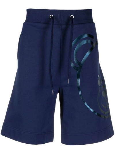 Moschino Toy Bear Print Shorts In Blau