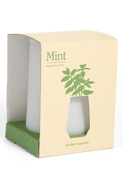 Modern Sprout Tumbler Mint Grow Kit