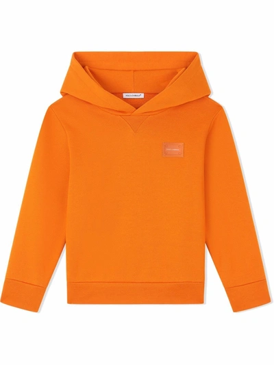 Dolce & Gabbana Kids' Jersey Hoodie With Logo Plate In Orange