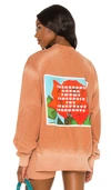 Boys Lie From This Perspective Crewneck In Brown