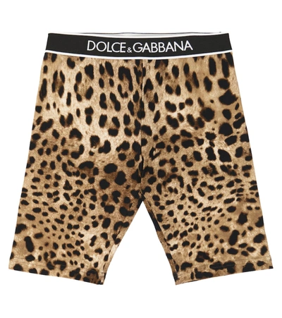 Dolce & Gabbana Babies' 弹力棉质豹纹印花短裤 In Brown