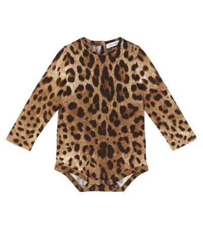 Dolce & Gabbana Baby豹纹印花棉质连体紧身衣 In Brown