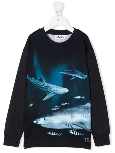 Molo Kids' Dark Sharks-print Cotton Sweatshirt In Blue