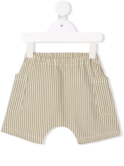 Babe And Tess Babies' Striped Cotton Shorts In Green