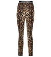 Dolce & Gabbana Leopard Print Silk Stretch Charmeuse Crop Leggings In Multicoloured