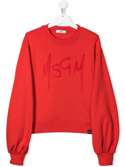 Msgm Teen Tonal Logo-print Sweatshirt In Red