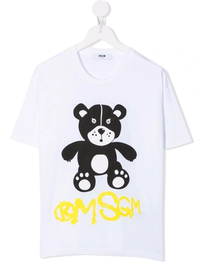 Msgm Teen Teddy Bear Print T-shirt In Bianco