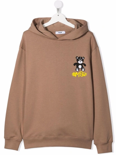 Msgm Teen Teddy Bear Print Hoodie In Brown