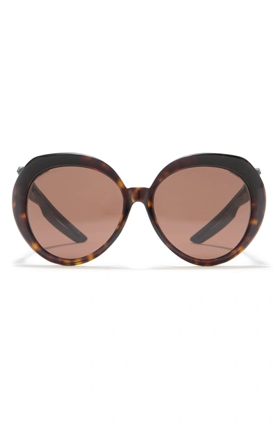 Balenciaga 56mm Round Sunglasses In Havana Black Brown