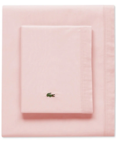 Lacoste Home Solid Cotton Percale Sheet Set, Twin In Iced Pink