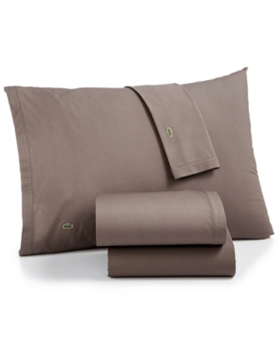 Lacoste Home Solid Cotton Percale Sheet Set, Twin In Dark Gray