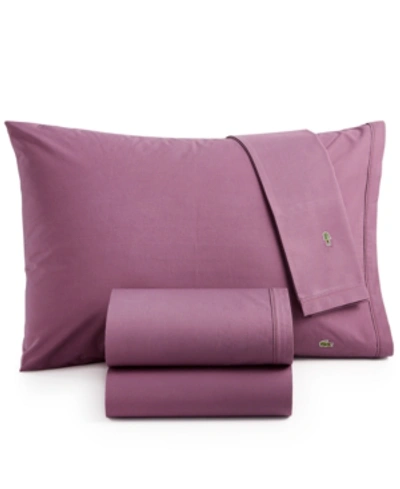 LACOSTE HOME SOLID COTTON PERCALE SHEET SET, TWIN