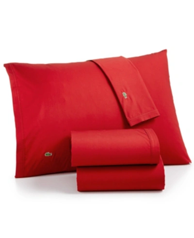 Lacoste Home Solid Cotton Percale Sheet Set, Twin In Chili Pepper