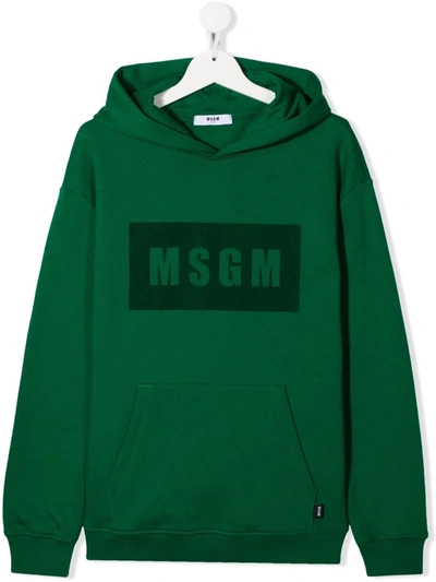 Msgm Teen Logo-print Cotton Hoodie In 绿色
