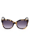 Max Mara Butterfly 56mm Gradient Cat Eye Sunglasses In Dark Havana