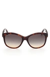 Max Mara 56mm Butterfly Sunglasses In Dark Havana / Gradient Smoke