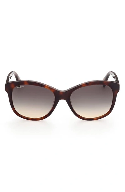 Max Mara 56mm Butterfly Sunglasses In Dark Havana