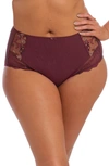 Elomi Charley Full Figure Briefs In Aubergine