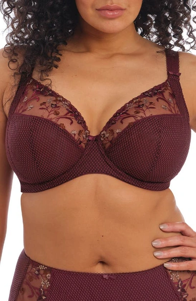 Elomi Full Figure Charley Stretch Lace Bra El4382, Online Only In Aubergine