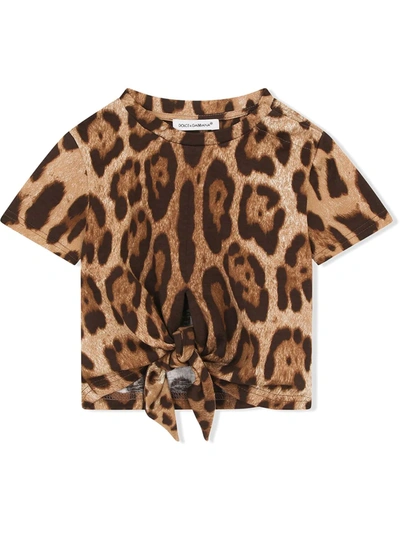 Dolce & Gabbana Babies' Kids Leopard Print T-shirt (3-30 Months) In Brown