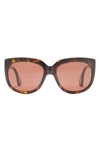Gucci 57mm Fashion Sunglasses In Havana Havana Brown
