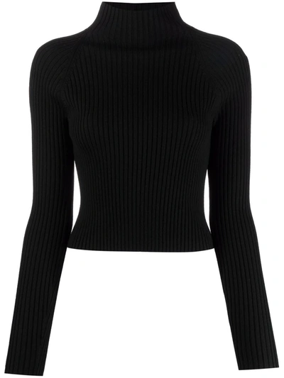 Alice And Olivia High Neck Ribbed Knit Jumper In Black