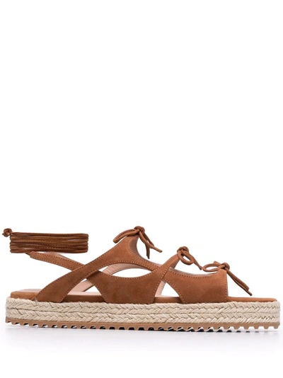 Scarosso X Paula Cademartori West Sandals In Brown