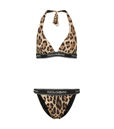 Dolce & Gabbana Leopard-print Bikini With Branded Elastic In Multicolour