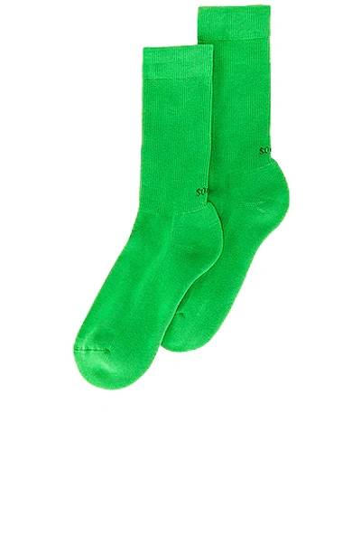 Socksss Apple Bottom Socks