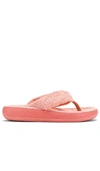 Ancient Greek Sandals Charisma Comfort Terry Flip Flops In Peach