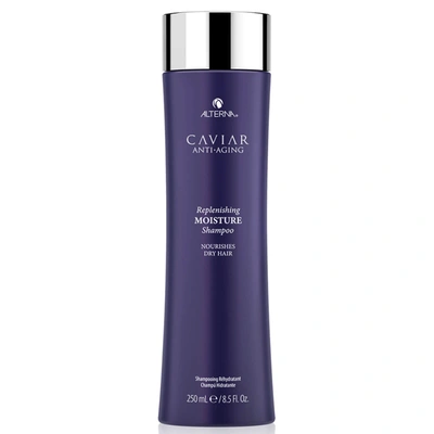 ALTERNA CAVIAR ANTI-AGING REPLENISHING MOISTURE SHAMPOO 8.5 OZ