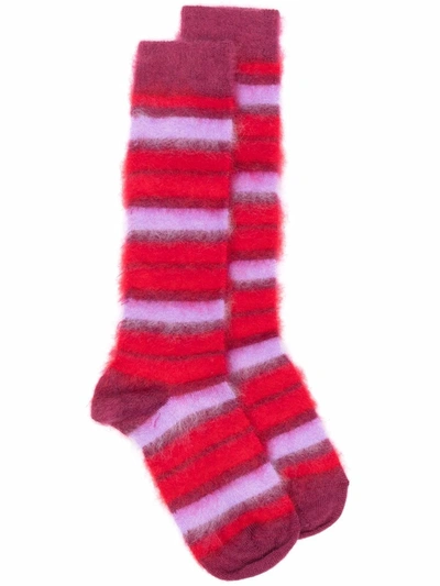 Marni 条纹针织袜 In Pink